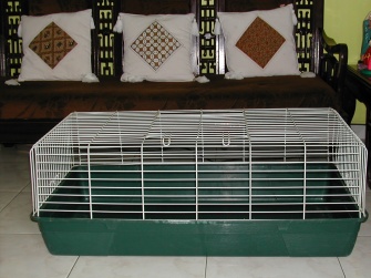 Indoor-rabbit-cages with solid floor