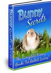 Bunny Secrets