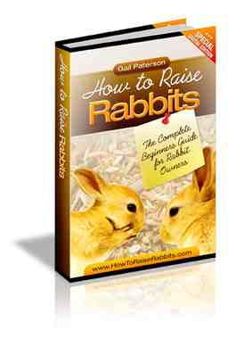 How to Raise Rabbits