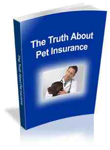 The Truth About Pet Insurance