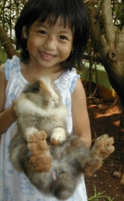 rabbits-for-pets_my daughter with her brown rabbit