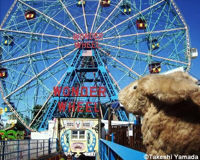 Seara (sea rabbit) at Deno's Wonder Wheel Amusement Park in Coney Island, Brooklyn, New York (August 29, 2010)