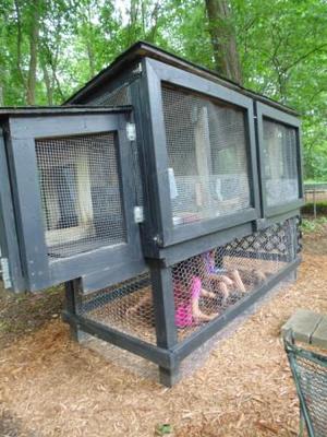 Our Large Rabbit Hutch