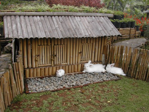Outdoor-rabbit-hutch