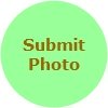 submit rabbit photos