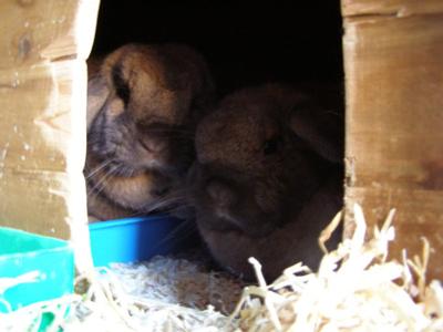 Bobby and Zoe